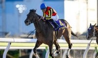 【大井・雲取賞結果】ジャナドリアが無傷3連勝で重賞初制覇！