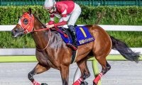 日本最強ダート馬フォーエバーヤング サウジCで待望の海外G1初制覇狙う
