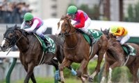 【フェブラリーS予想】上半期のダート王決定戦 先週推奨馬が快勝した絶好調AIが挙げた伏兵とは