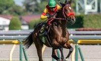 前走初ダートで快勝 リアルスティール＆ラヴズオンリーユーの半弟が連勝狙う