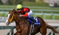 ジャックドールの競走馬登録抹消…種牡馬入り