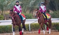 【サウジカップ】フォーエバーヤングは14番ゲートへ…日本馬4頭出走