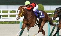 GI馬ジャックドールの種付け料は100万円 けい養先がホームページで発表