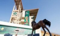 【サウジC】日本での馬券発売は土曜19時30分から 競馬場・ウインズ等では発売せず