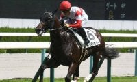 【阪急杯予想】前走1400mに出走していた馬は着順に注意！ 前走大敗で好走に黄色信号が灯る人気馬とは