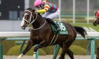 京都芝はキズナ産駒を狙え 阪急杯はアサカラキングの逃げ切りだ