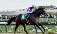 【競馬予想】フェブラリーＳで注目の血統は「ミスプロ系」　ダートで抜群の安定感を誇る２頭に期待