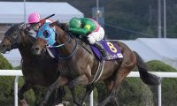【競馬予想】フェブラリーＳ、ハイペースの消耗戦が予想される今年も末脚自慢の伏兵が高配当を運んでくる