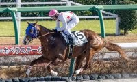 【フェブラリーS予想】タイトな競馬になりやすいGIで超大型馬は不利!? 前走馬体重の傾向から導き出された危険馬とは