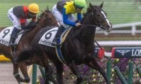 母は名牝アパパネ 良血馬が復活＆待望の2勝目狙う