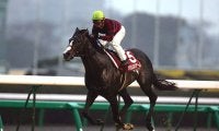 今年引退の宗像師が手掛けた名馬 バランスオブゲームの中山記念連覇