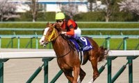 【先週のJRA抹消馬】23年大阪杯覇者ジャックドール、ダート重賞2勝のグロリアムンディなど