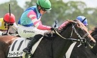 武豊騎手がチューリップ賞3年連続8勝目なるか 兄弟子・河内洋師の管理馬で挑む