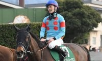 【中山牝馬S想定馬・騎手】シンティレーション、ビヨンドザヴァレーなど17頭