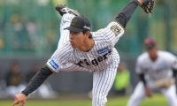 いよいよオープン戦に向かう藤川阪神　球界OBはルーキー投手の台頭を予感「いきなり150キロを超えていた」「70人枠に入るのでは」
