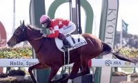【競馬予想】チューリップ賞は「荒れるレース」に変貌　穴党記者が注目する超ド級の穴馬