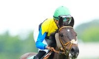 【競馬予想】春のＧⅠにつながる中山記念で狙うべき血統は？　コース適性からベテラン馬２頭の奮闘に期待