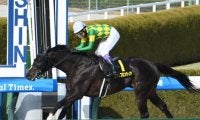 【仁川S結果】武豊騎手騎乗の9番人気ルクスフロンティアが抜け出し快勝