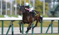 【すみれS】ジーティーアダマンがデビュー2連勝