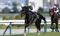 【阪神リニューアル記念】ハヤテノフクノスケが5馬身差圧勝