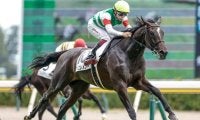 【チューリップ賞予想】桜花賞と同舞台のステップレース 来月の大舞台見据える乙女が集結
