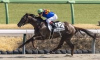 【中山6R】アメージングが逃げ切って2勝目