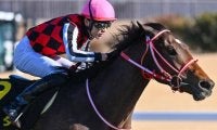 JRA重賞の史上最高額勝ち馬になるか 矢作厩舎の3.2億円馬が弥生賞に参戦