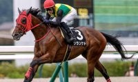 【中山牝馬S予想】父サンデー系とミスプロ系に良績が集中！ 父ノーザンダンサー系は前走のレース格や着順に注意