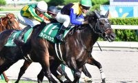 明け8歳となった三冠牝馬アパパネの仔 大阪城Sで2年ぶりの白星狙う
