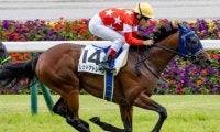全兄は重賞勝ち馬、祖母は名牝エアグルーヴ 遅咲きの良血馬が連勝なるか