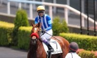 武豊騎手 今週の騎乗馬…フィリーズレビューでリリーフィールドとのコンビ