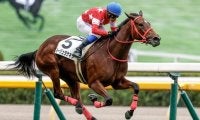 【フィリーズレビュー予想】桜花賞TRだが本番には直結しにくい一戦 内回り1400mへの適性がカギ