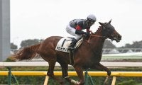【競馬予想】弥生賞の注目はドゥラメンテ、キタサンブラック産駒　牝系や配合から出世レースを読み解く