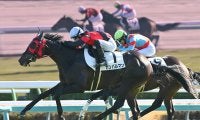 【競馬予想】弥生賞は重賞馬不在で波乱必至　穴党記者が推奨する激アツな２頭