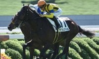 【弥生賞予想】中山芝2000mは大型馬には不向きなコース!? 前走のパフォーマンスを鵜呑みにしづらい人気馬とは