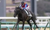 【中山5R】断然人気インパクトシーが4馬身差快勝