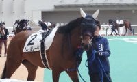 【阪神12R】4歳未勝利馬が2勝クラスで仰天の初勝利…アムールリーベがまさかの差し切りV