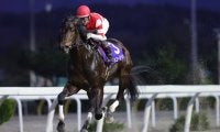 【岩手競馬】春を告げる3歳重賞・スプリングカップ見どころ