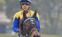 半兄に重賞勝ち馬3頭 名繁殖クロウキャニオンの仔がきょうだい15頭目の勝ち上がり狙う