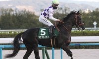 【競馬予想】弥生賞は今年も荒れる!?　過去の激走馬によく似た穴馬候補２頭