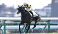 【中山5R】ルナルーチェットが7馬身差圧勝