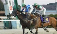 【佐賀・九州クラウン結果】ネオシエルが人気2頭の争い制し10連勝