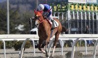 【岩手競馬】陶文峰調教師がデビュー、初戦は4着