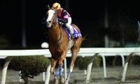 【水沢・スプリングカップ】ポマイカイが快勝…2歳最優秀馬が今季好発進