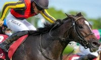 川田将雅騎手が史上最多タイの金鯱賞5勝目へ 過去8戦全て騎乗の重賞2勝馬とタッグ