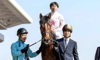 横山典弘騎手がスプリングS史上単独トップの4勝目へ 2戦2勝のパートナーと参戦