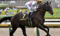 母のきょうだいに活躍馬ズラリのキタサンブラック産駒 血の後押し受けて重賞初Vだ