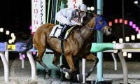 【船橋・フレンドリービット特別】ジャスティファイ産駒のローリーグローリーが5馬身差の圧勝
