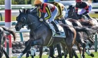 名牝ブエナビスタの8番仔 良血馬の素質披露で初勝利なるか