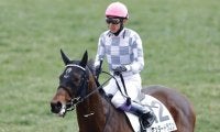 武豊騎手 今週の騎乗馬…ドウデュース半弟・エンダードラゴンが出走